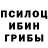 Псилоцибиновые грибы мухоморы Gosha.Play.Room.