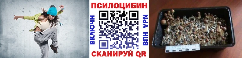 Галлюциногенные грибы Psilocybine cubensis  наркотики  Рубцовск 