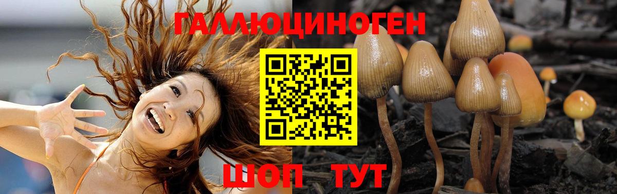 Галлюциногенные грибы GOLDEN TEACHER Рубцовск